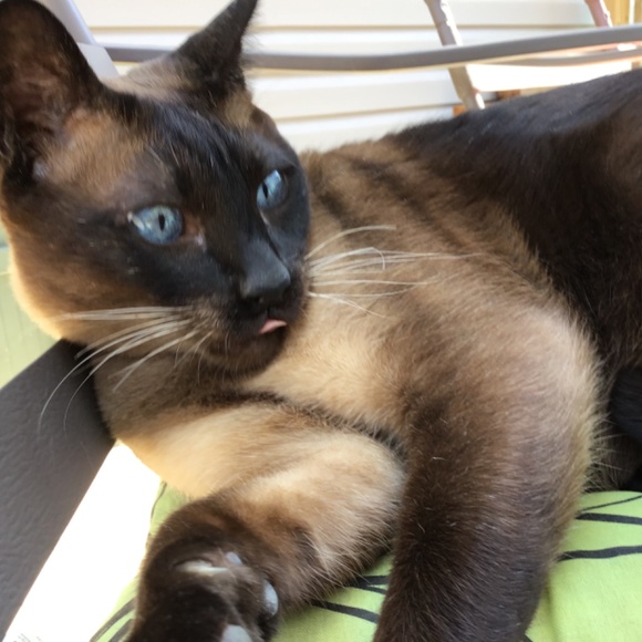 Meet your Posher, Susanne - Picture 14 of 16